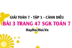 Giải bài 3 trang 47 Toán 7 Tập 1 SGK Cánh Diều